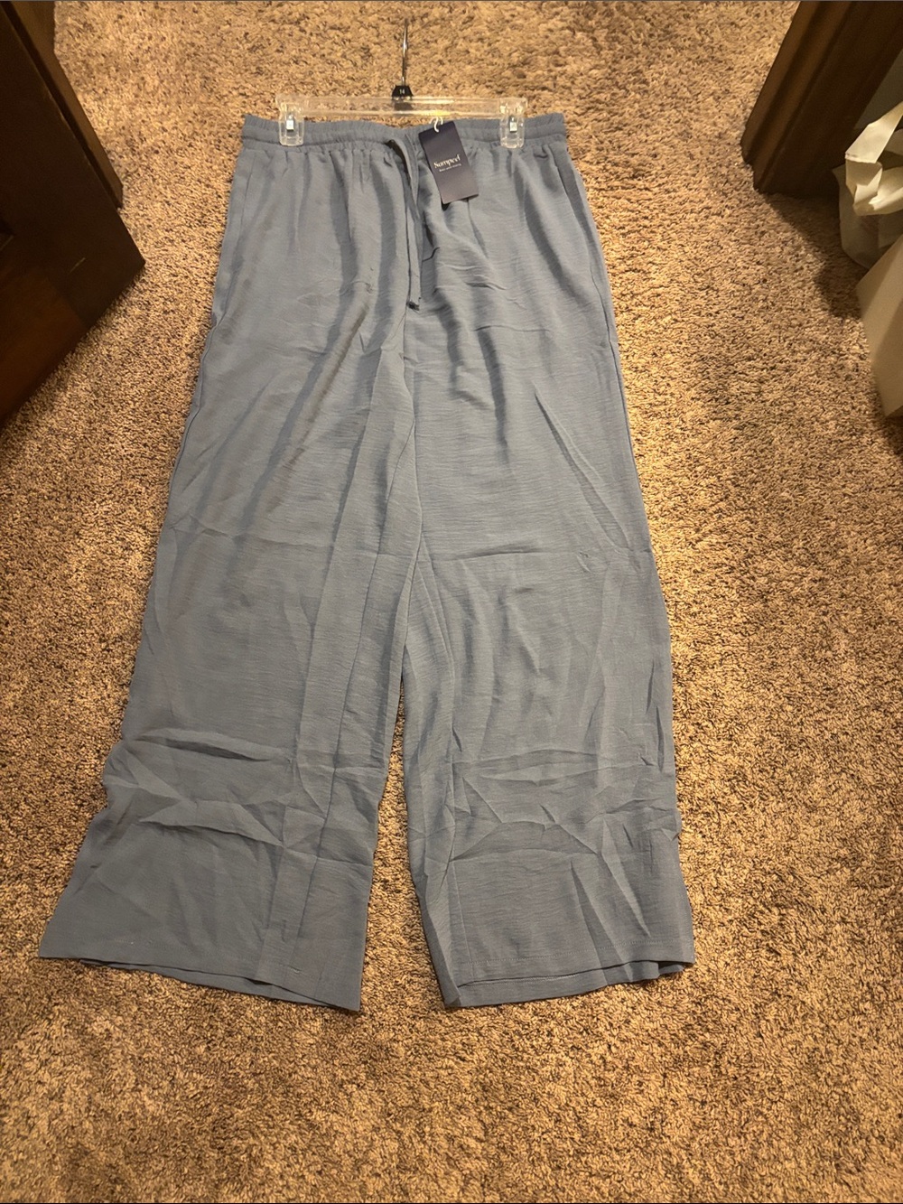 Wide Leg Pull-On Pants in Light Blue